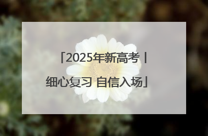 2025年新高考丨细心复习 自信入场