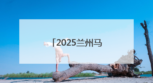 2025兰州马拉松现场图集