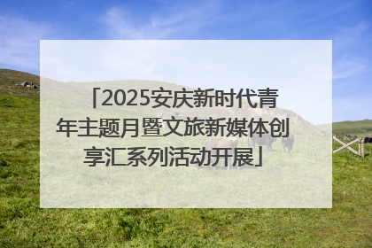 2025安庆新时代青年主题月暨文旅新媒体创享汇系列活动开展