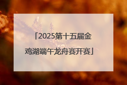 2025第十五届金鸡湖端午龙舟赛开赛