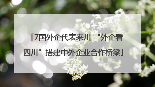7国外企代表来川 “外企看四川”搭建中外企业合作桥梁
