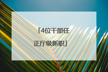 4位干部任正厅级新职