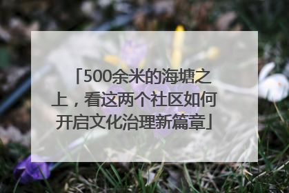 500余米的海塘之上，看这两个社区如何开启文化治理新篇章