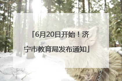6月20日开始！济宁市教育局发布通知