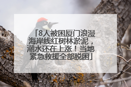 8人被困厦门浪漫海岸线红树林淤泥，潮水还在上涨！当地紧急救援全部脱困