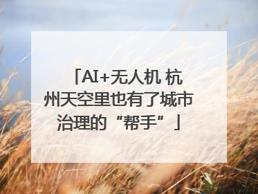 AI+无人机 杭州天空里也有了城市治理的“帮手”