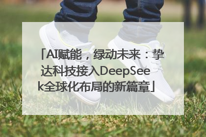 AI赋能，绿动未来：挚达科技接入DeepSeek全球化布局的新篇章
