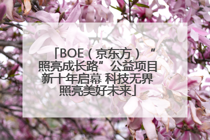 BOE（京东方）“照亮成长路”公益项目新十年启幕 科技无界照亮美好未来